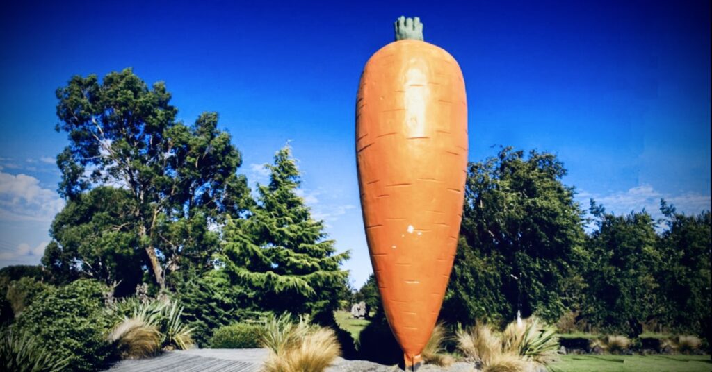 Ohakune Carrot