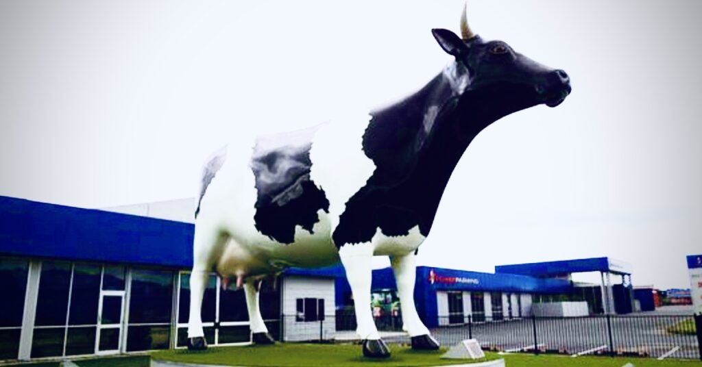 Morrinsville's Mega Cow