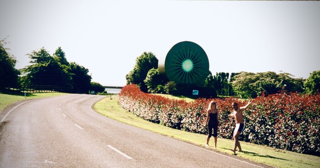 Iconic Giant Kiwi Fruit