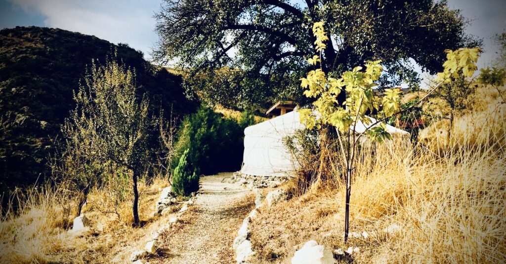 Yurts in Cyprus