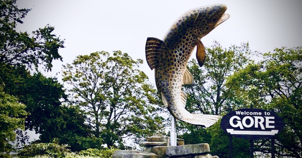 Large Trout - Gore, Southland